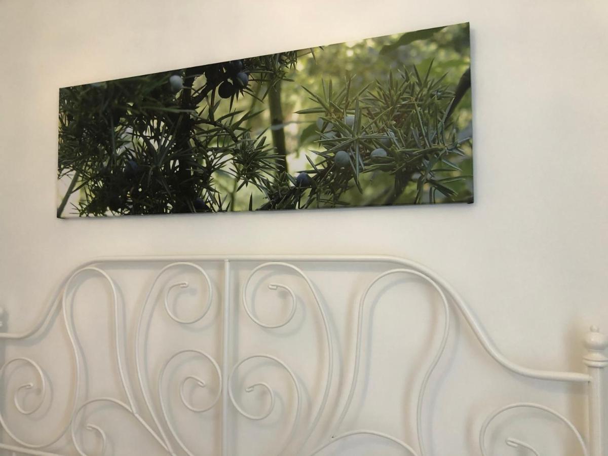 Sa Vivenda Rooms Alghero Dış mekan fotoğraf