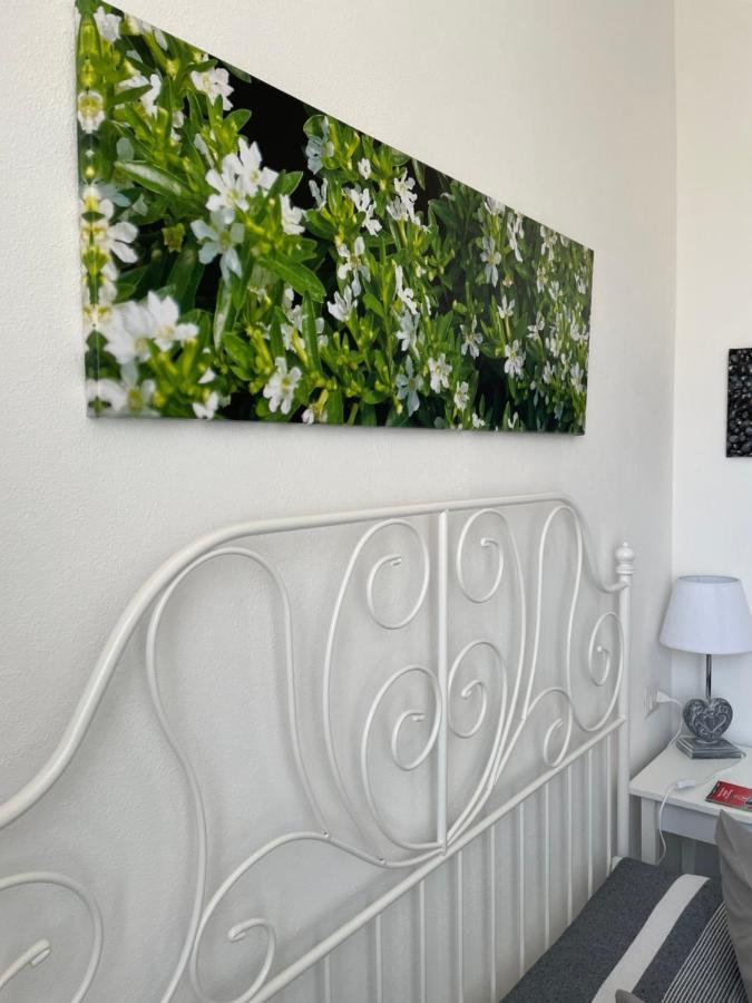Sa Vivenda Rooms Alghero Dış mekan fotoğraf